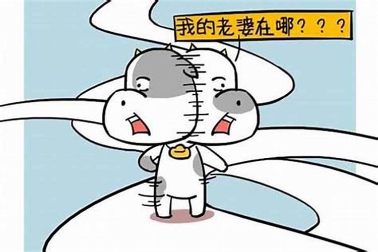 怎样算自己的姻缘什么时候出现,怎么看自己的婚姻是什么时候出现百度...