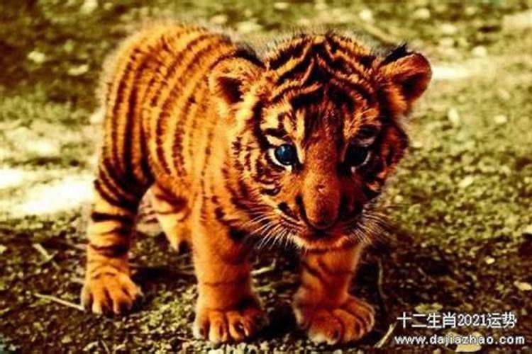 为什么超度堕胎的小孩过后。浑身疼第二天还头疼。