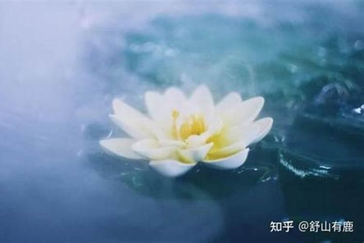 梦见拉下许多虫子