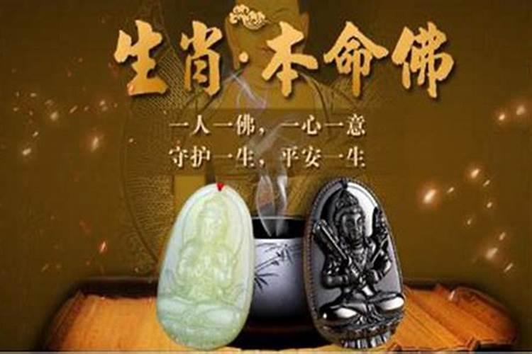 属兔的人2025年运势