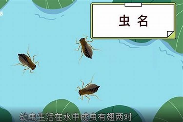 腊月十七生孩子好不好