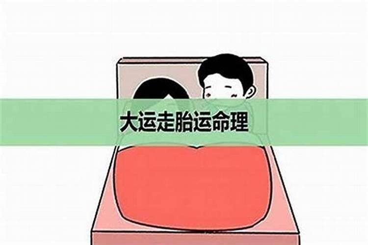 流年为胎什么意思