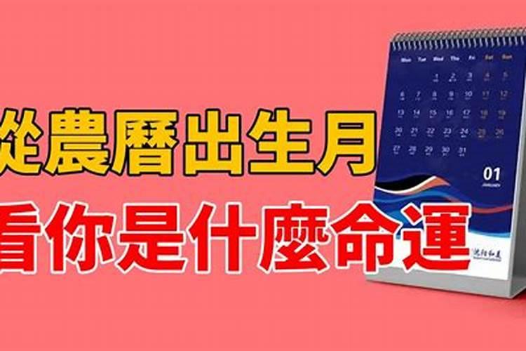 梦见绿蛇是什么预兆 梦见绿蛇的预兆