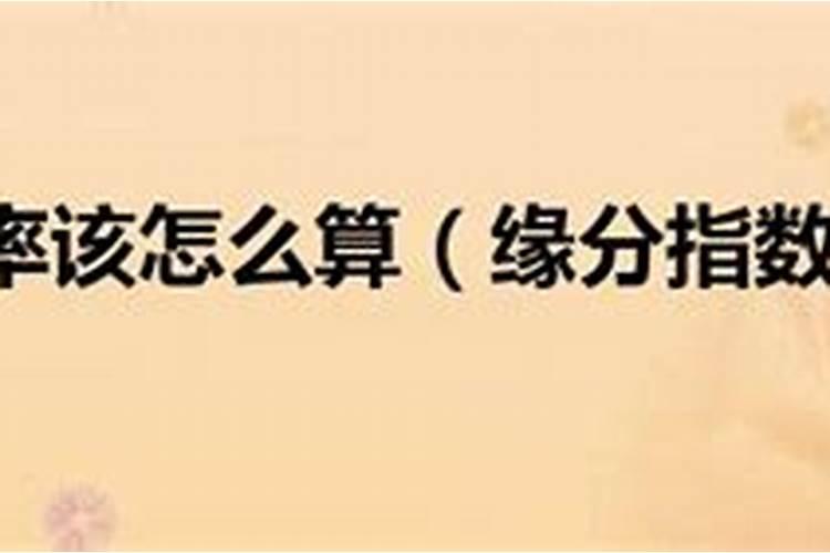 如何算两人有没有缘,怎么测两人的缘分指数
