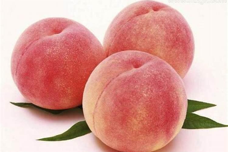 生日命运:十一月十一号是什么星座？