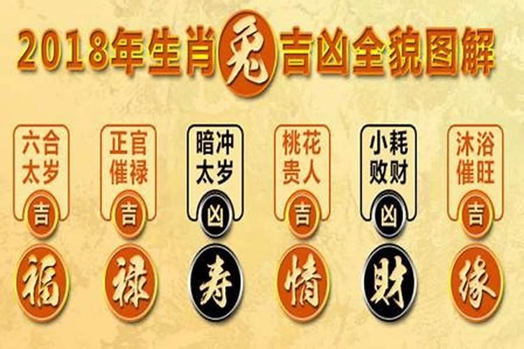 属兔下半年运势