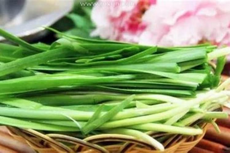梦见一只大老鼠我把它打死了的预兆