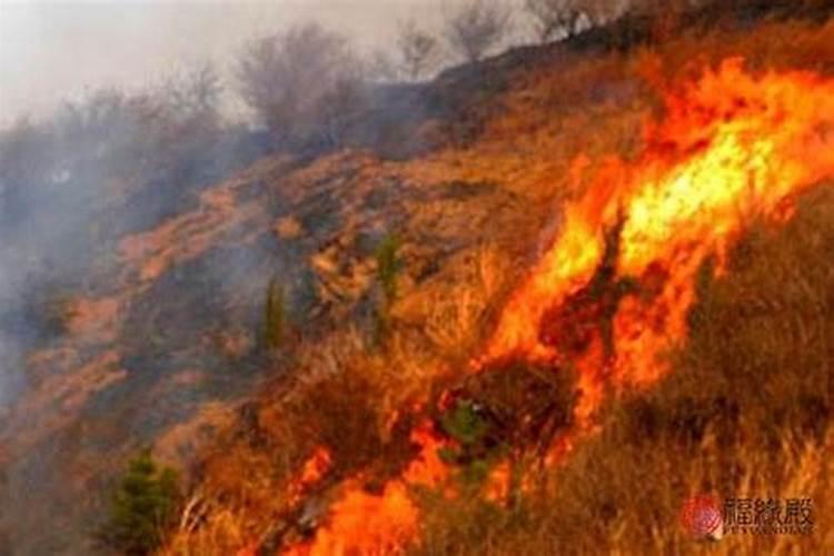 山头火和路旁土命相配吗 路旁土配山头火永荣华富贵？
