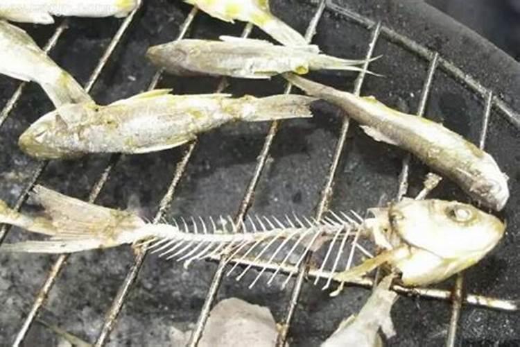 梦见吃饭吃出了一根针是什么意思啊
