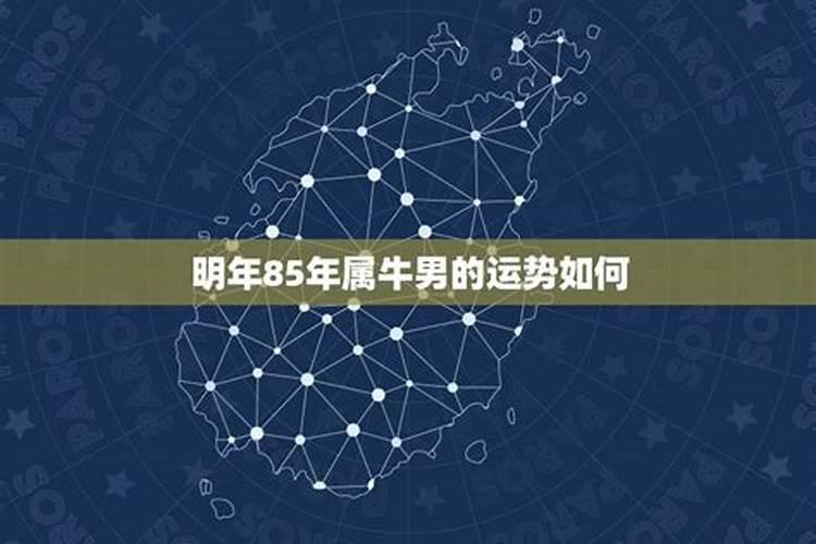 1973年2025年属牛人的全年运势