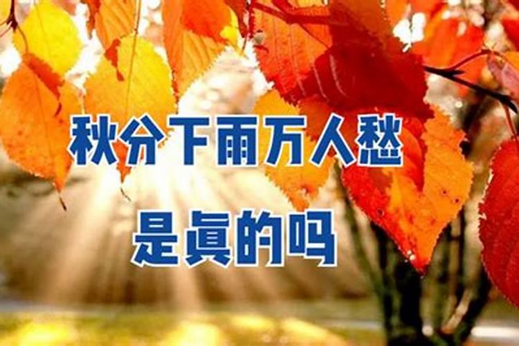 48岁本命年穿什么1975年出生