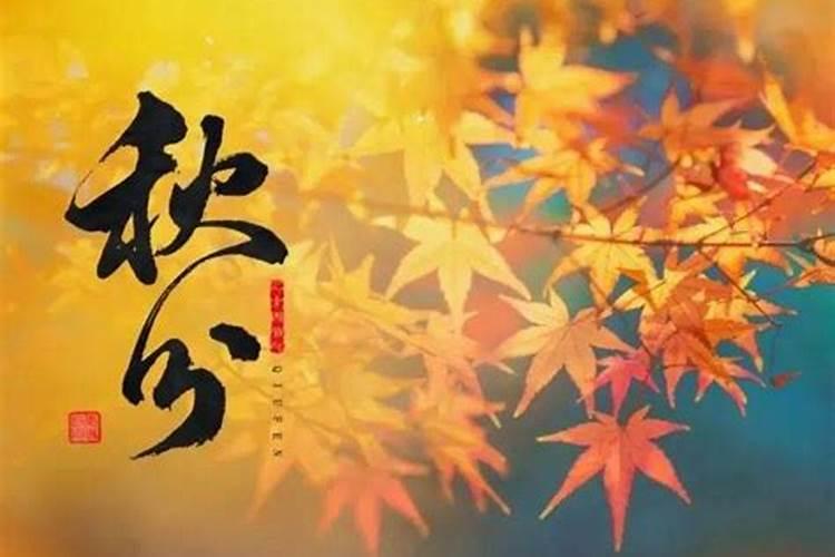 一九八五年十月初六出生的男人什么命运？
