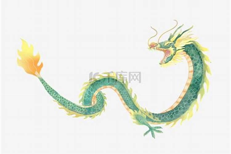 农历十二月的蛇命运怎么样 品性不刚不柔？
