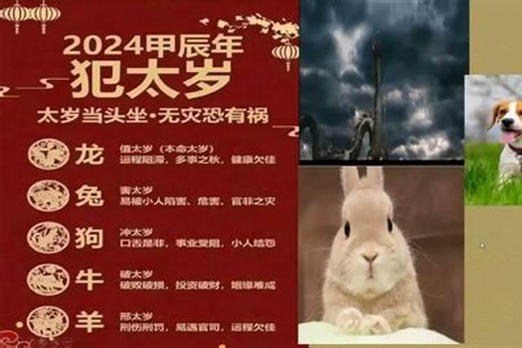 今年是什么属相年2024年运势