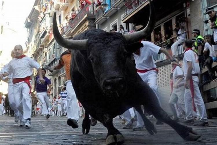 重阳节祭祖风俗
