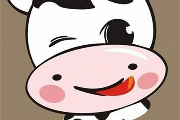 属牛的最好的配偶是什么属相