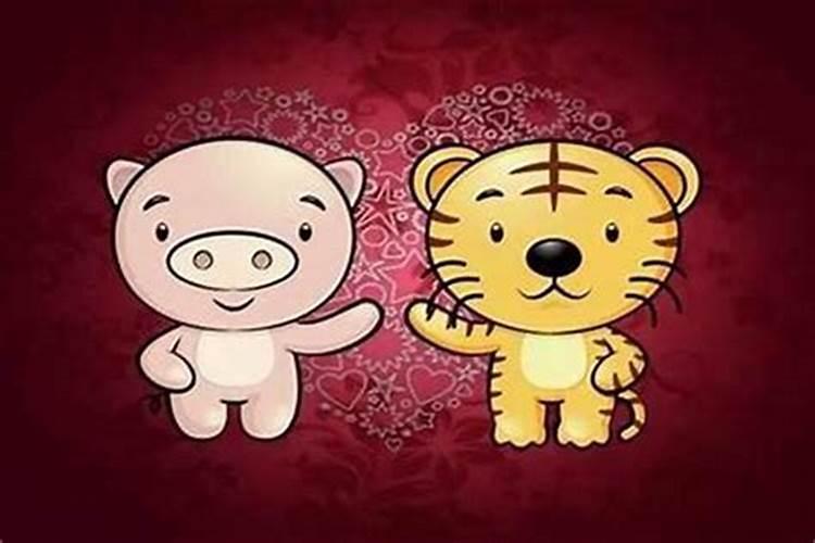 属虎和属猪的合不合