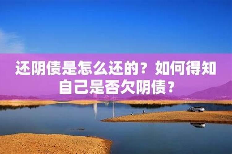 还阴阳债怎么还