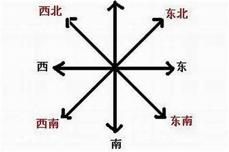 梦见生一对双胞胎拉大便的预兆