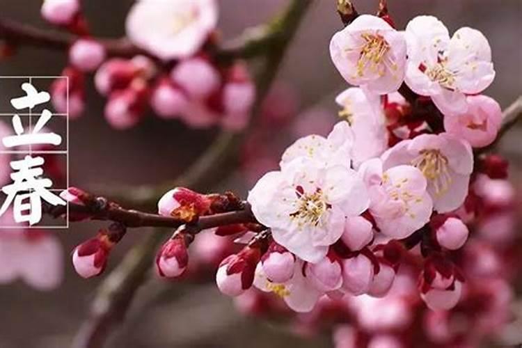 我是90年1月30号生的(阳历),算成阴历就是正月初4,没过立春,但是过了除...
