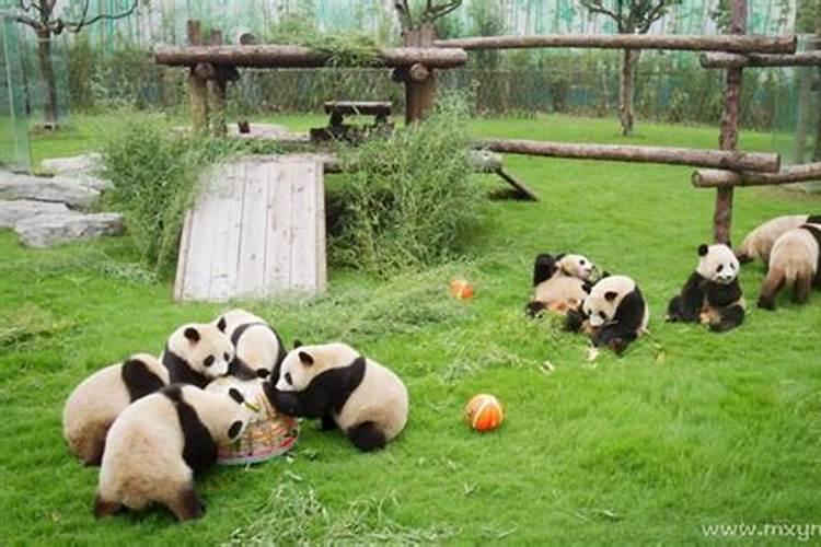 梦见吃蛇是什么意思周公解梦？