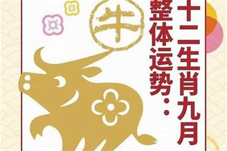 如何让店子生意好起来？