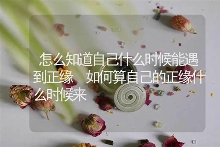 龙莲寺化太岁可以别人代替么
