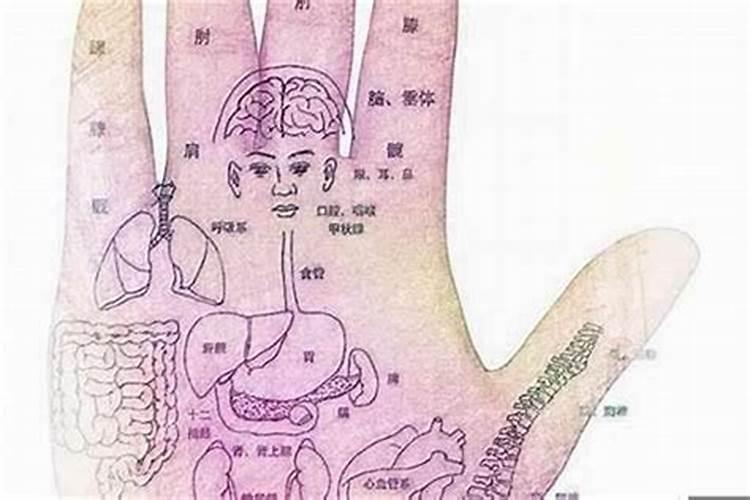算命生辰八字和看手相真的准吗？