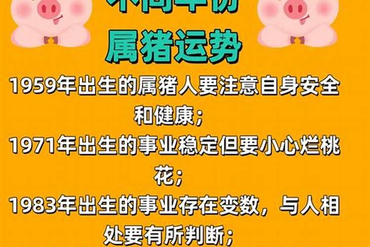 70年狗男2024年运势及每月运程