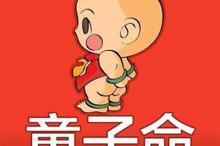 属猪的财位最旺的位置