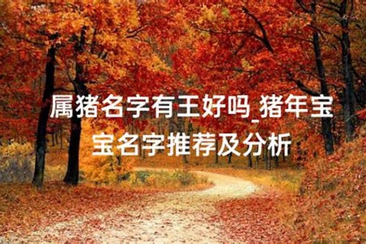 七月十五出生的人好吗(农历七月十五生日女孩的命运)