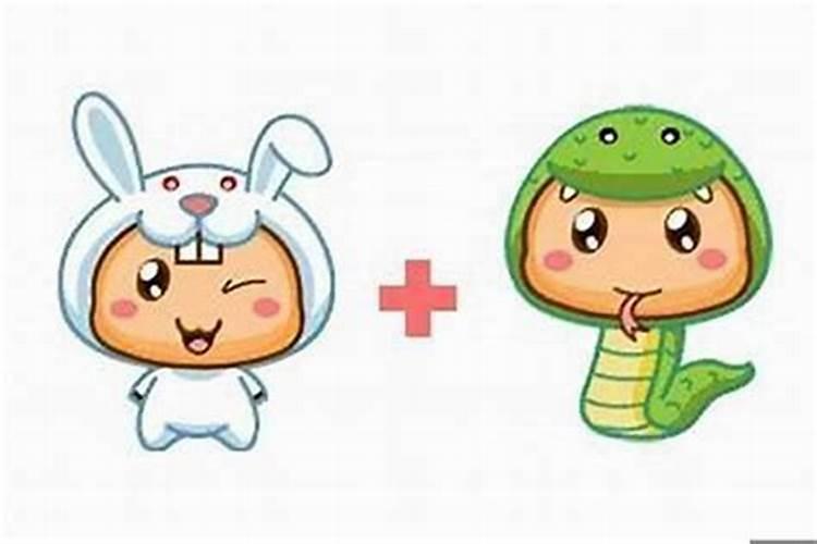 男兔女蛇能白头到老吗