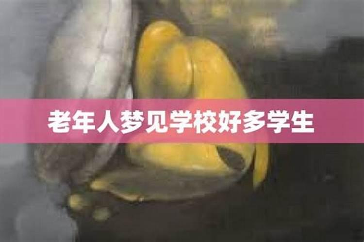 2029年属鸡的是什么命