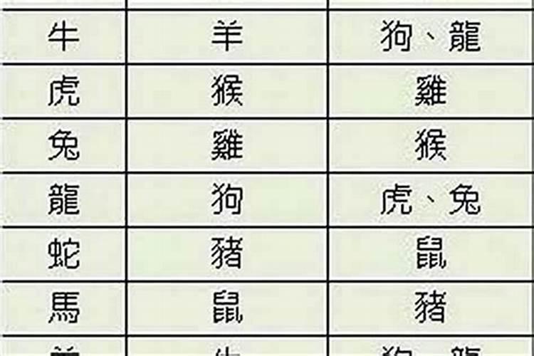 男牛女兔属相合不合