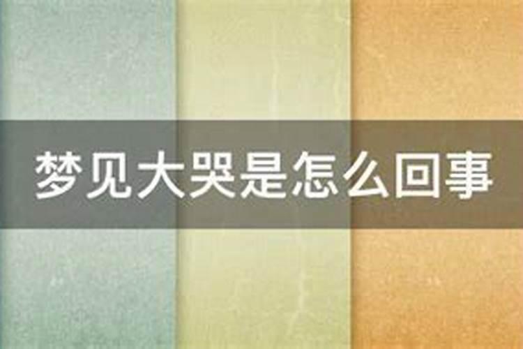 2002年属马人2025年运程