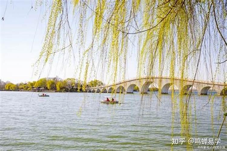 大师,八字中有贪合忘克和贪生忘克是什么意思？