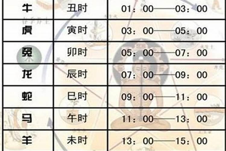 晚上十一点半是什么时辰