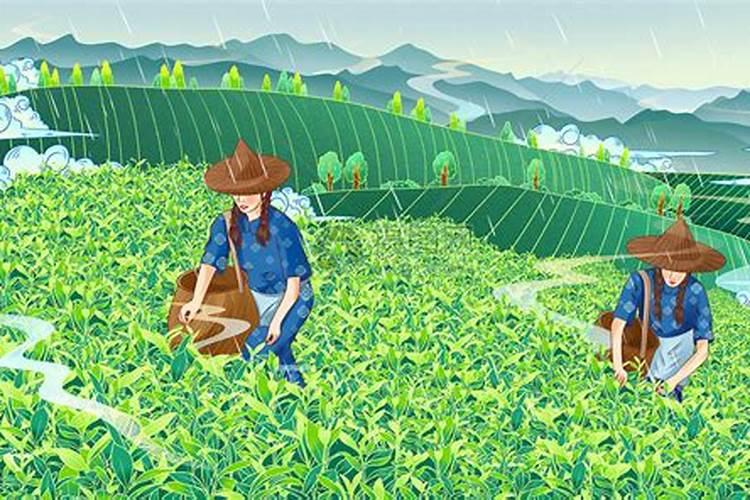 苗族风俗的作文