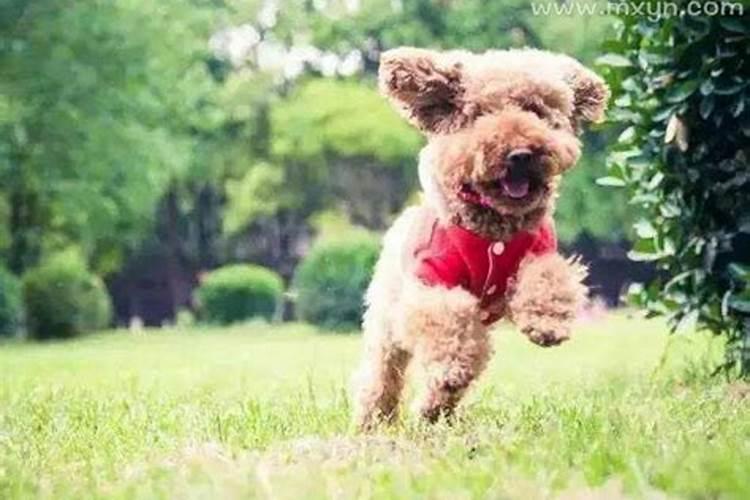 梦见死去的亲人抱自己的孩子的预兆