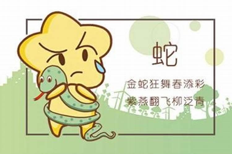 犯太岁带什么