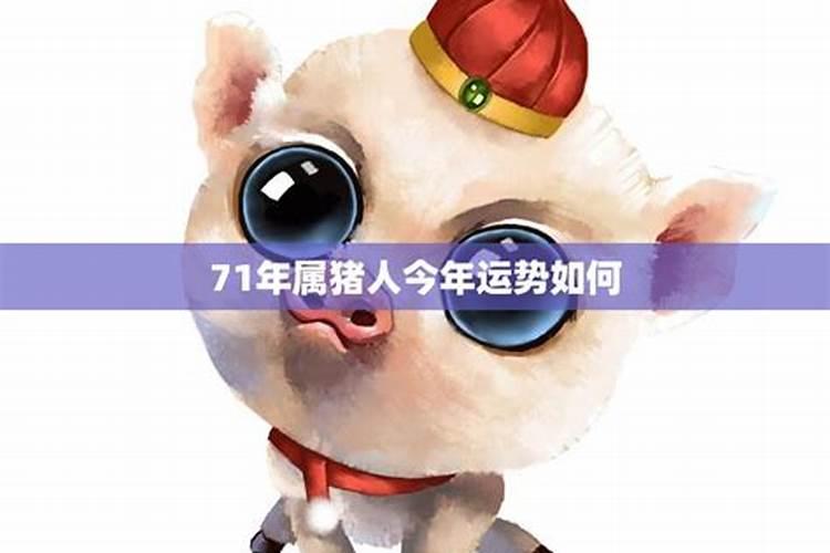 属猪人2026年全年运势运程