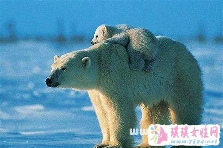 出生时辰算五行缺什么,怎么根据出生年月时辰算自己的五行缺什么？
