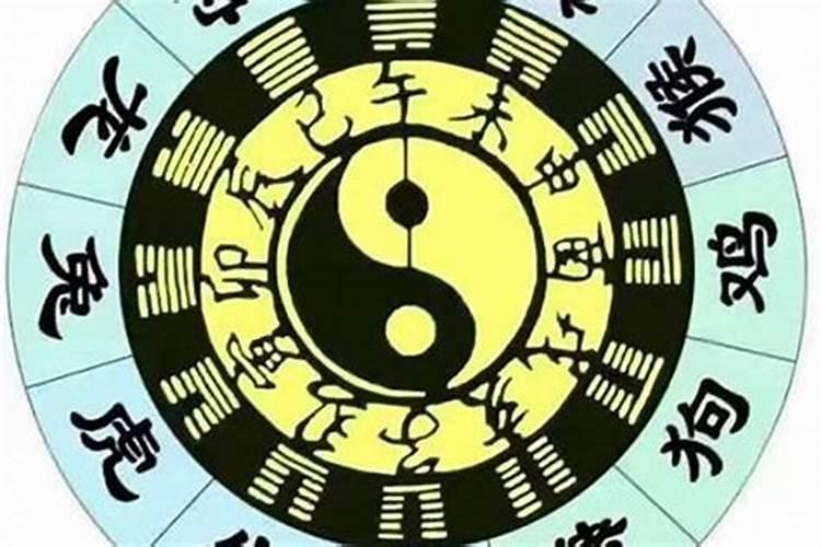 怎样查自己的天干地支五行 天干地支五行对照表生辰八字？