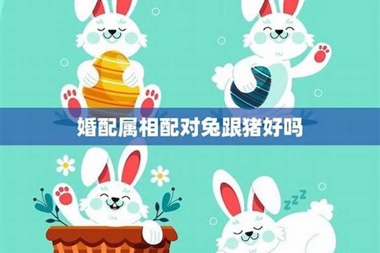 炖鲶鱼的寓意
