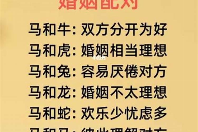 78年属马的不幸婚姻,78年的马是什么命婚姻