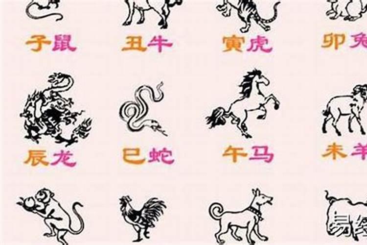 合婚是以五行为准,还是以属相为准