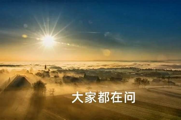 晚上看到黑猫有什么预兆吗？