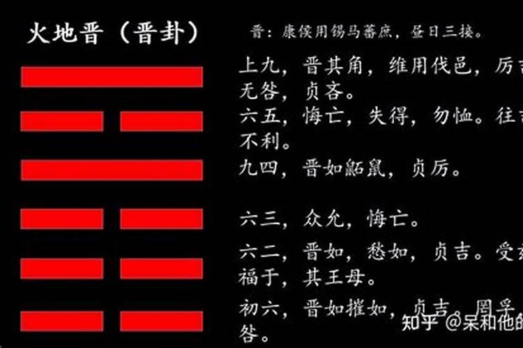 孕妇梦见狗跟蛇是生二子还是女儿