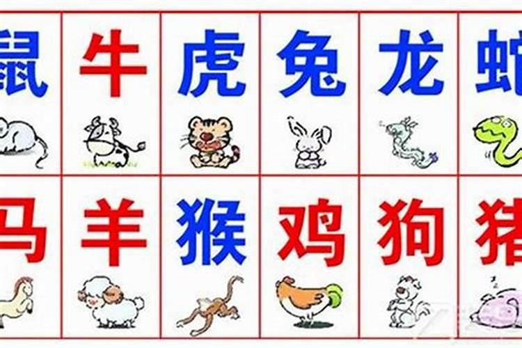 八字不合怎么算