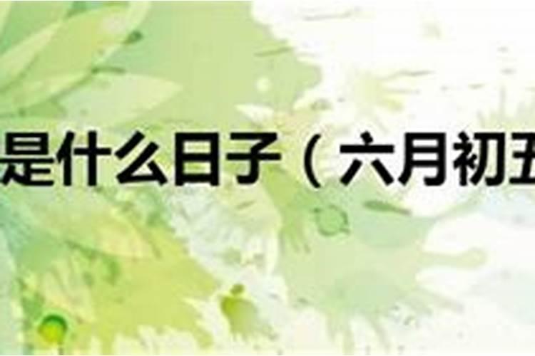 1980年农历6月初5日出卯时属ヨ6ￕ3运势